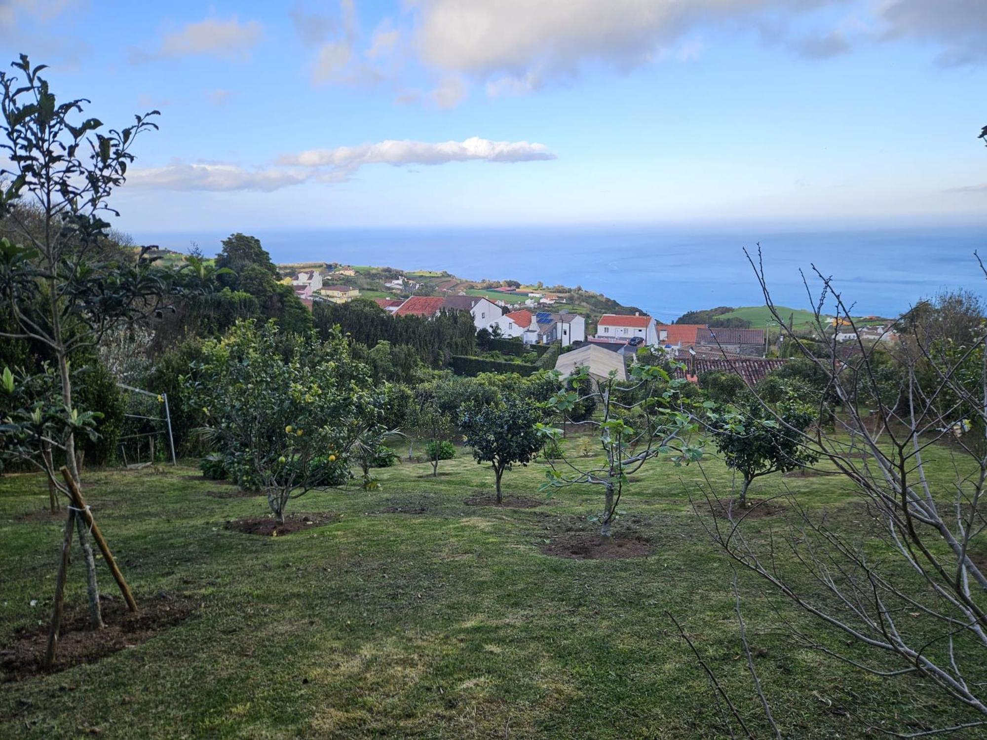 Casa Do Castanheiro - Nordeste, Acores Нордешти Экстерьер фото