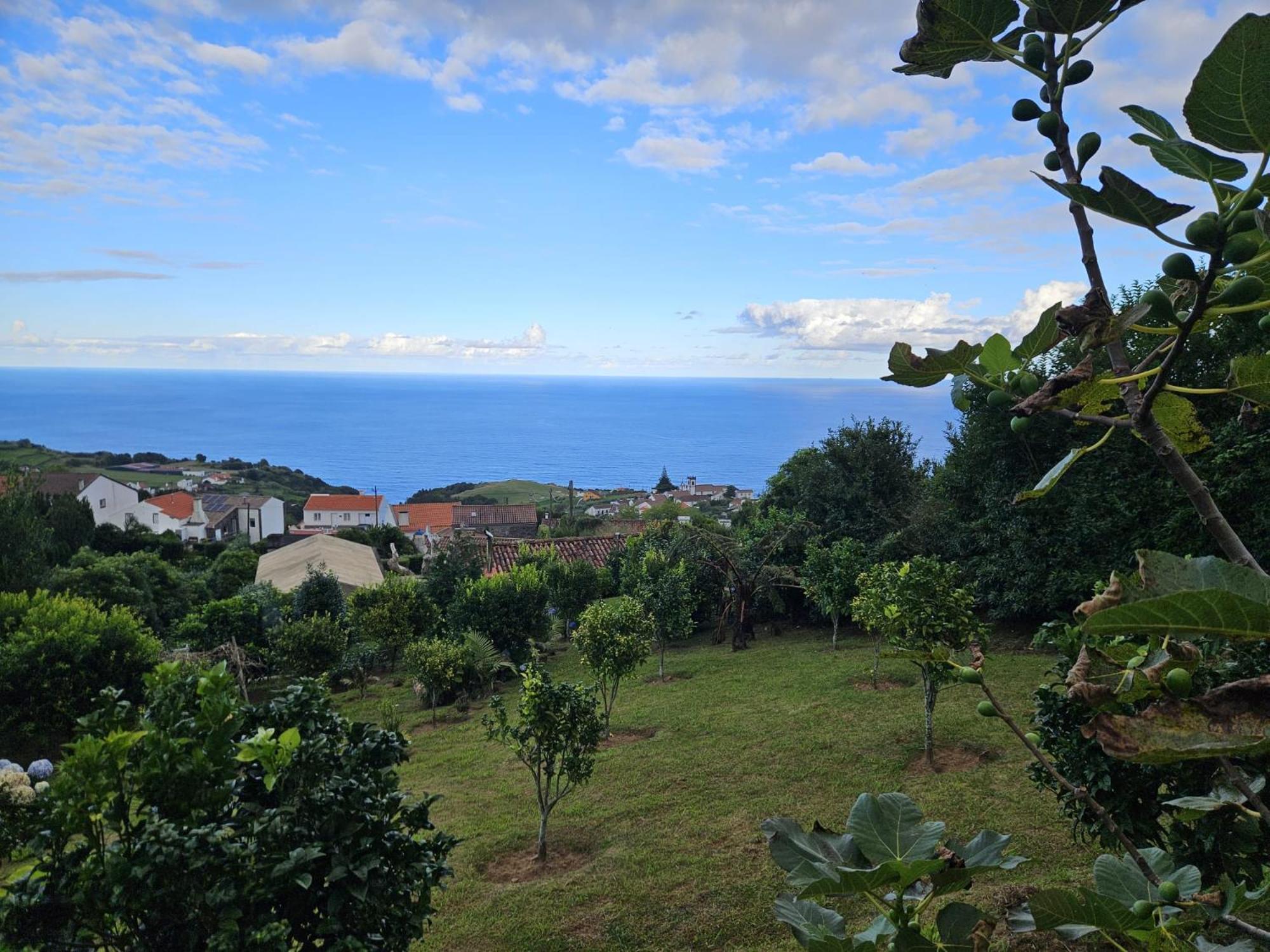 Casa Do Castanheiro - Nordeste, Acores Нордешти Экстерьер фото